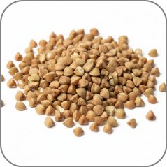 Buckwheat