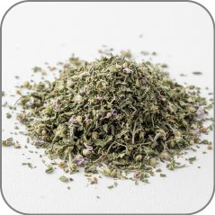 Catnip