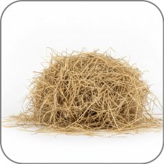 Hay