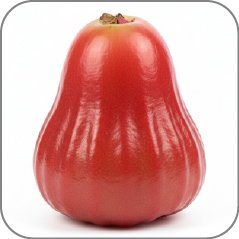 Jambu