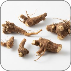 Lovage Root