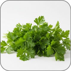 Parsley