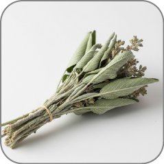 Sage