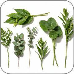 Stems Greens