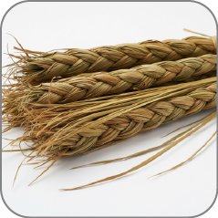 Sweet Grass