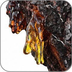 Ambreine
