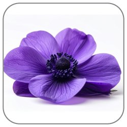 Amethyst Flower