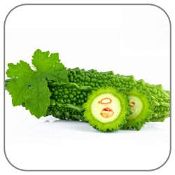 Bitter-melon