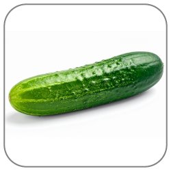 Cucumber