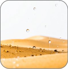 Desert Rain Accord