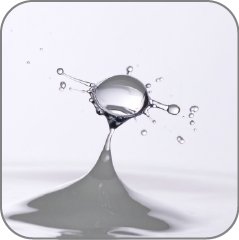 Dew Drop