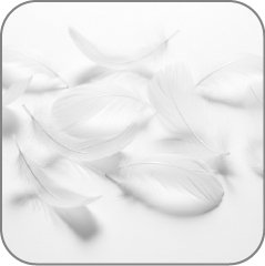 Feathers