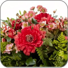 Floralozone