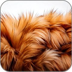Fur