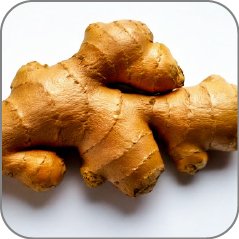 Ginger