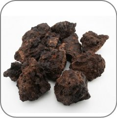 Hyraceum