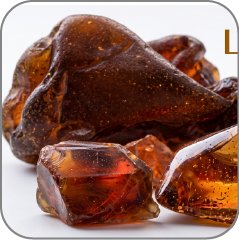 Lorenox