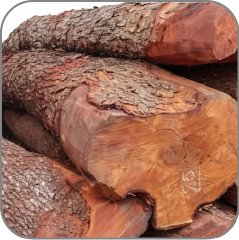 Mahogany