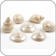 Onycha