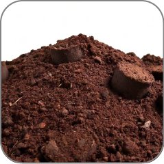 Peat