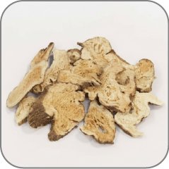 Rhizoma Atractylodis