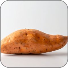 Sweet Potato