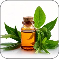 Tea Tree Oil