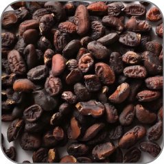 Tonka Bean