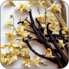 Vanilla