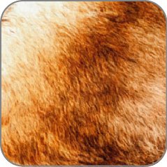 Velvione™
