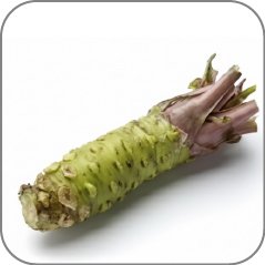 Wasabi