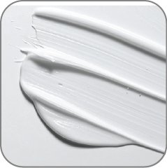 Wet Plaster