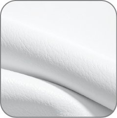 White Leather